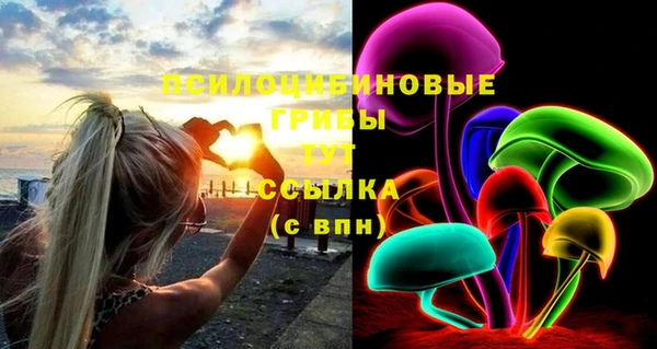 хмурый Верхний Тагил