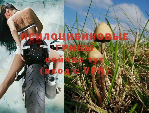 каннабис Верея
