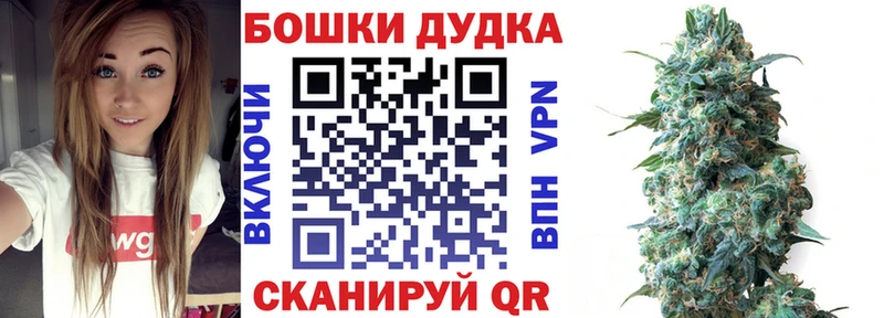Бошки марихуана сатива  Исилькуль 